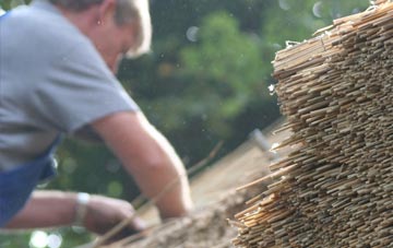 professional Ledbury thatchers