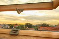 rated Ledbury roof window companies
